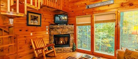 TV, fireplace, video games, DVD player