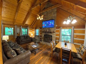 TV connectée, cheminée, lecteur de DVD