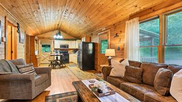 Flat-screen TV, fireplace, DVD player