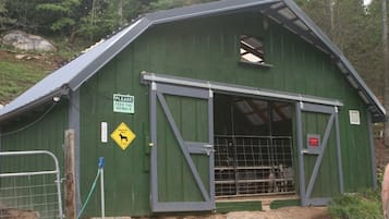 A green building with a metal gate, a sign instructing to feed the animal, and a warning sign for a horse crossing.