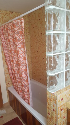 Combined shower/bathtub, jetted bath, hair dryer, towels