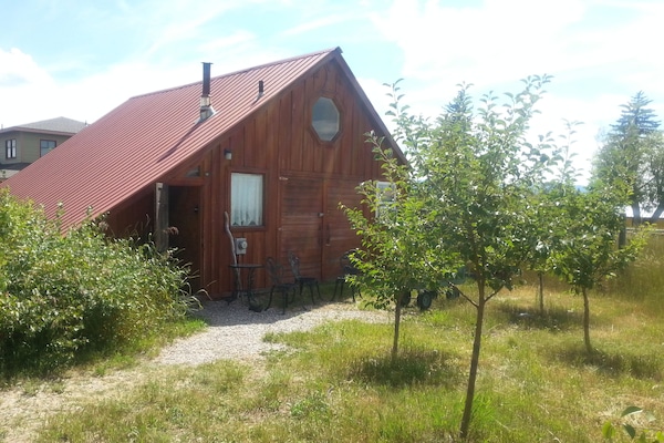 Fruit Trees and golden currants grow near the entry