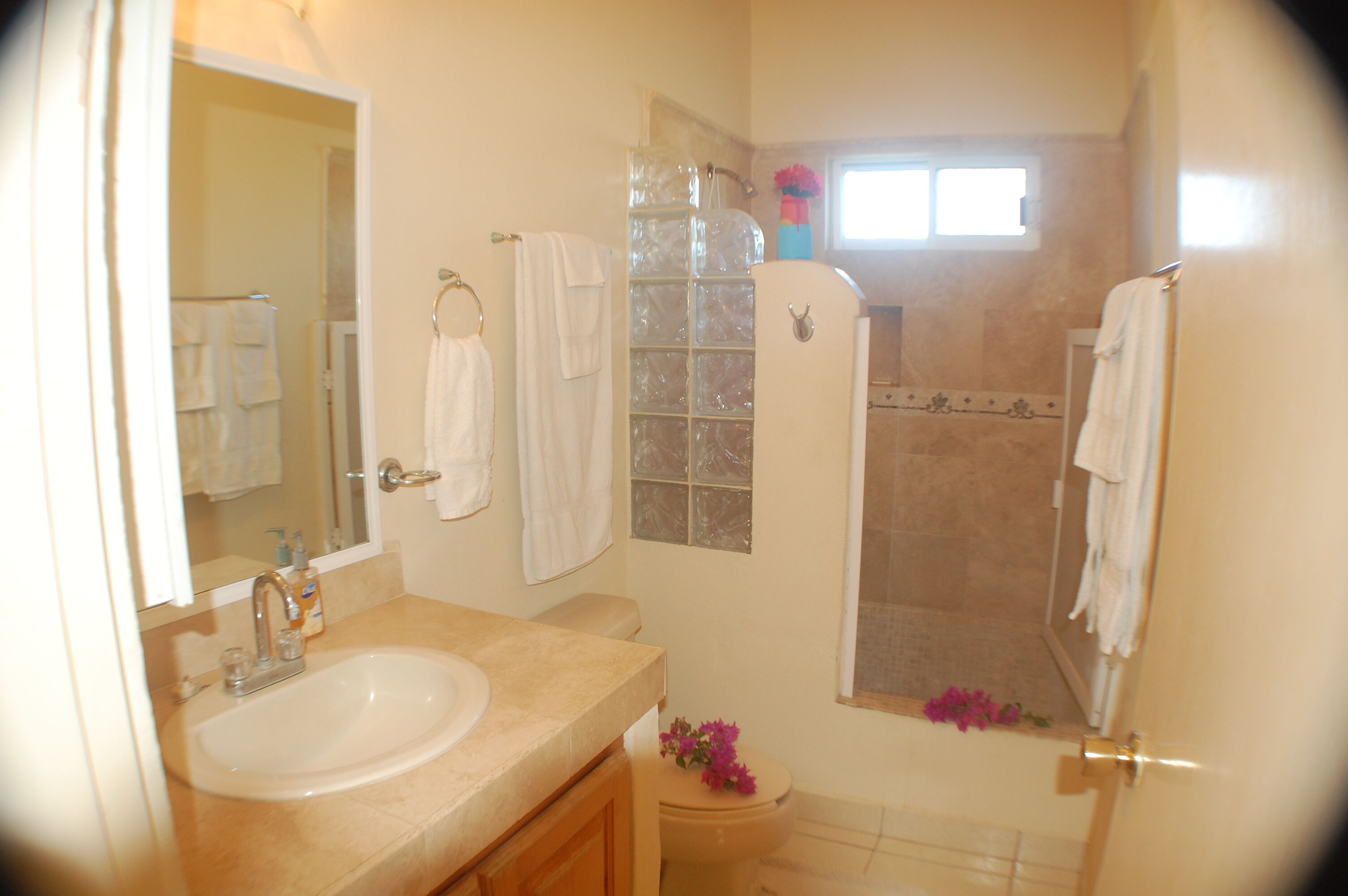 Combined shower/tub, towels, soap, shampoo