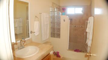 Combined shower/tub, towels, soap, shampoo
