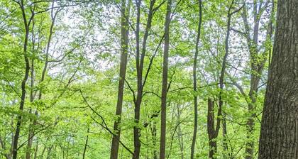 Autumn Wings -wifi, screen porch, pool access, hiking, family friendly
