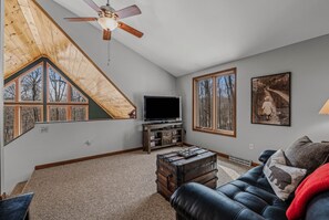 TV, fireplace, DVD player