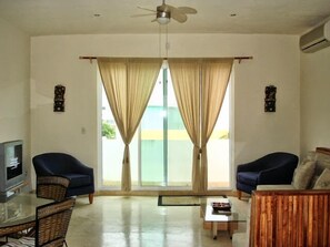 TV, DVD player, books, video library