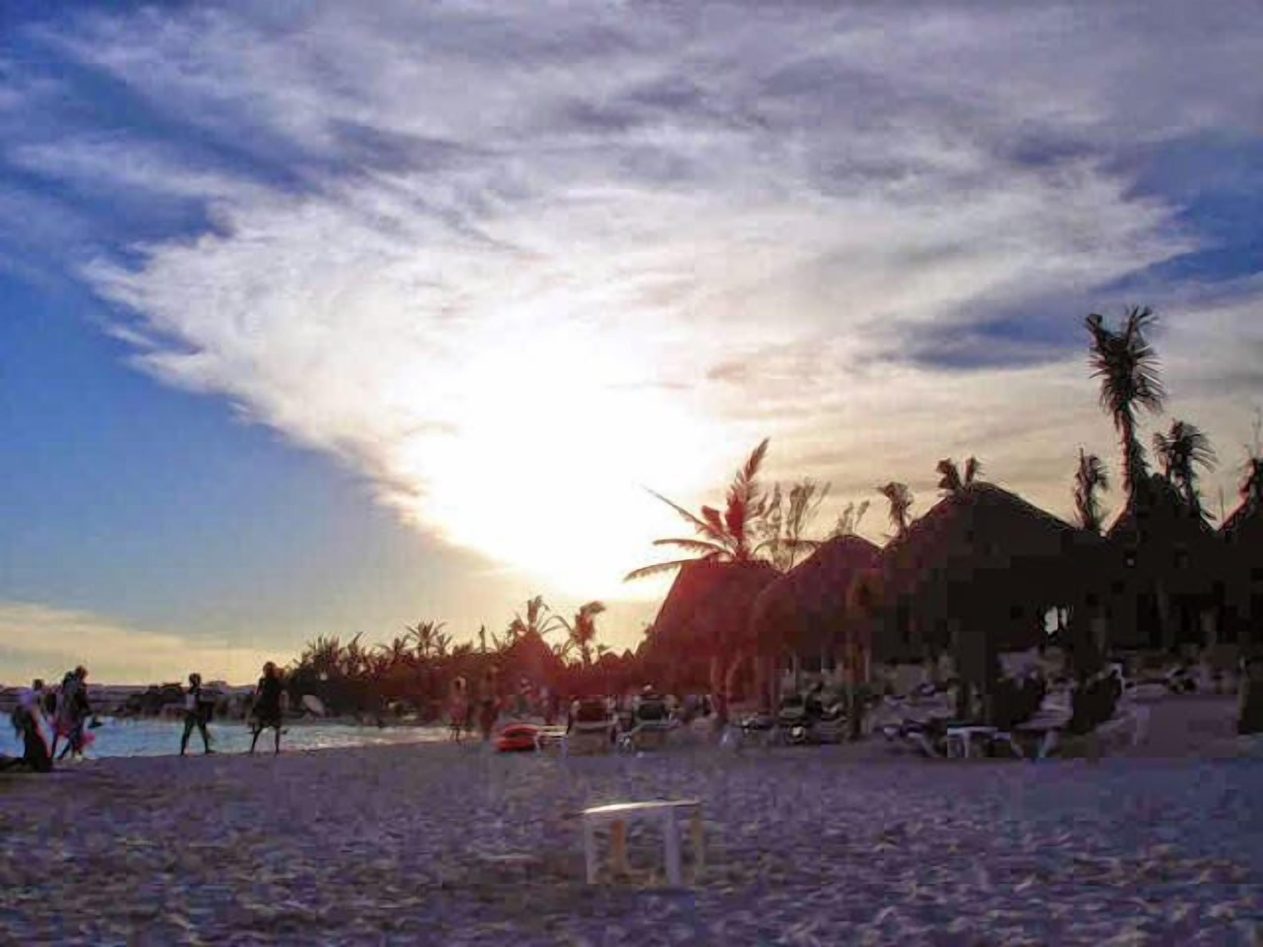 Une scène de plage avec des palmiers et un coucher de soleil.
