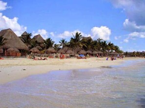 Een strand met rieten hutten en palmbomen.
