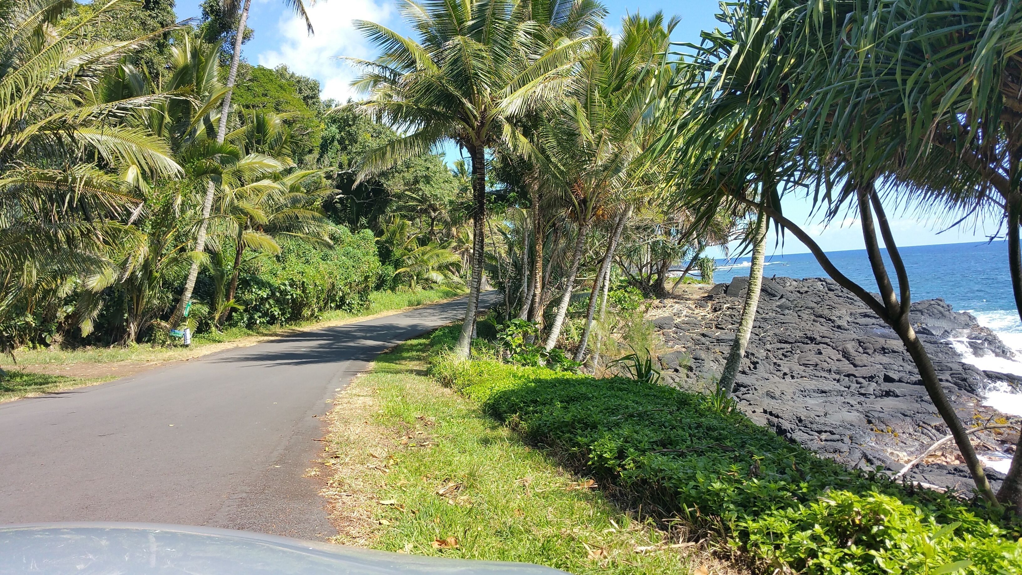 A paved road flanked by lush greenery and a rocky coastline.