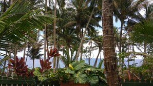 Un jardín tropical con palmeras y diversas plantas, una valla de madera y vista al océano.