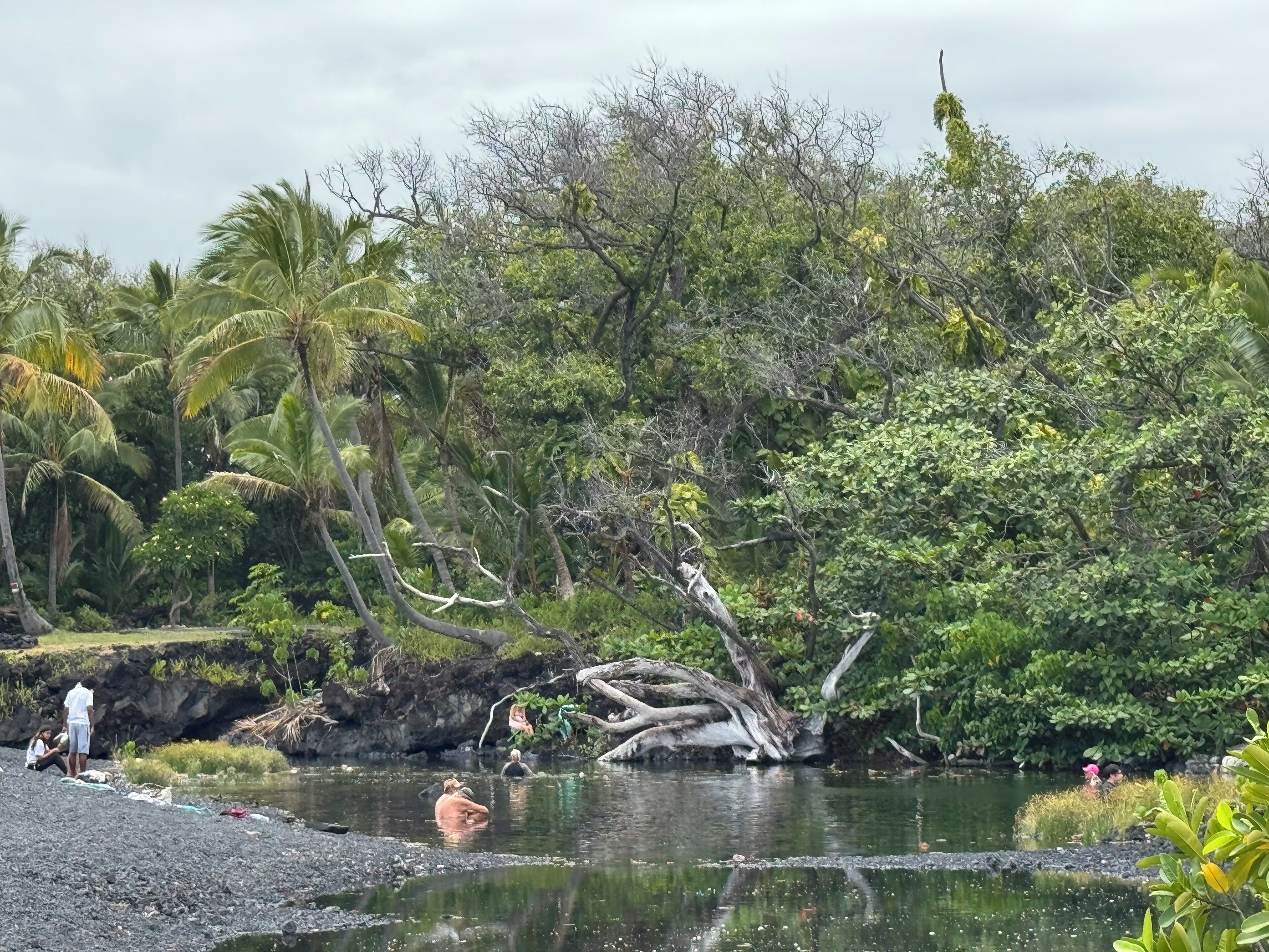 Et naturligt landskab med en klippefyldt kystlinje, frodig tropisk vegetation og et roligt vandareal.