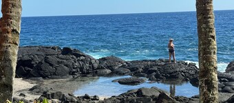 Oceanfront cottage w/ AC @ Kehena Beach, Hawaii