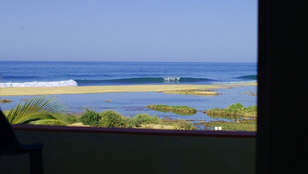 Une plage avec vue sur les vagues, le sable et quelques plantes.