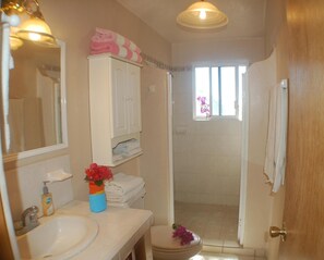 Shower, towels, soap, shampoo - Beachfront Penthouse w/ Surf, Hot Tub & Pool (El Pescadero)