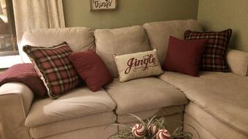 TV connectée, cheminée, Netflix, lecteur de DVD