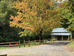 Property grounds - 7 Private Acres Minutes to Asheville NC/ Pet Friendly /5G Wi-Fi (Weaverville)