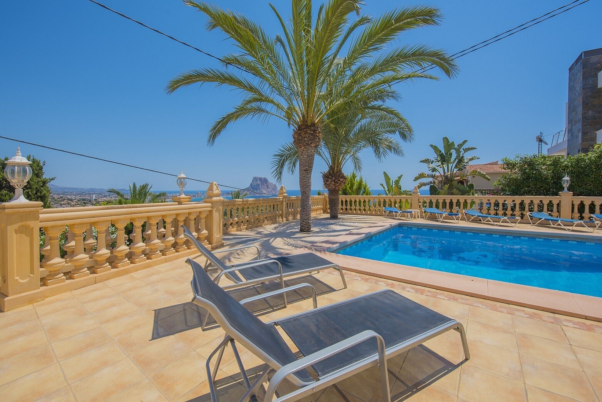 A pool area with lounge chairs, a palm tree, and a view of the city.