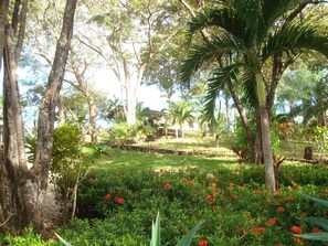 A garden with trees, a lawn, and flowering plants. - CASA AZUL / PLAYA GRANDE / PEACEFUL & PRIVATE / SHORT WALK TO BEACH (Playa Grande)