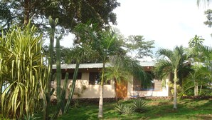 Une maison avec un jardin, comprenant des cactus et des palmiers.