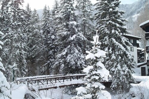 Mountain Comfort Overlooking Stream Surrounded by Evergreens on shuttle