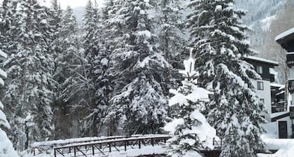 Mountain Comfort Overlooking Stream Surrounded by Evergreens on shuttle