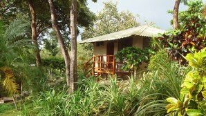 A rustic wooden house surrounded by lush greenery and trees.