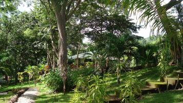 Parco della struttura