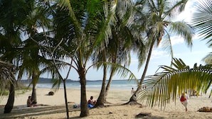 A beach scene with palm trees, people relaxing, and a view of the ocean.