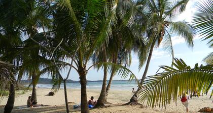 Casita Linda Vista / Steps To Beach / Peaceful & Private / Fully Equipped