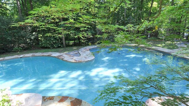 A swimming pool with a stone edge, surrounded by lush greenery and trees.