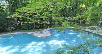 Dogwood Knoll - wifi, pool access, fireplace, grill, hiking, king bed