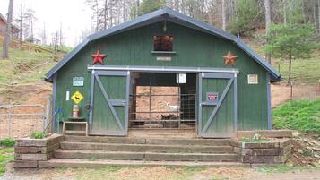A green building with a star on the roof, labeled 'BUFFALO CREEK,' with a sign instructing to 'FEED THE ANIMALS.'