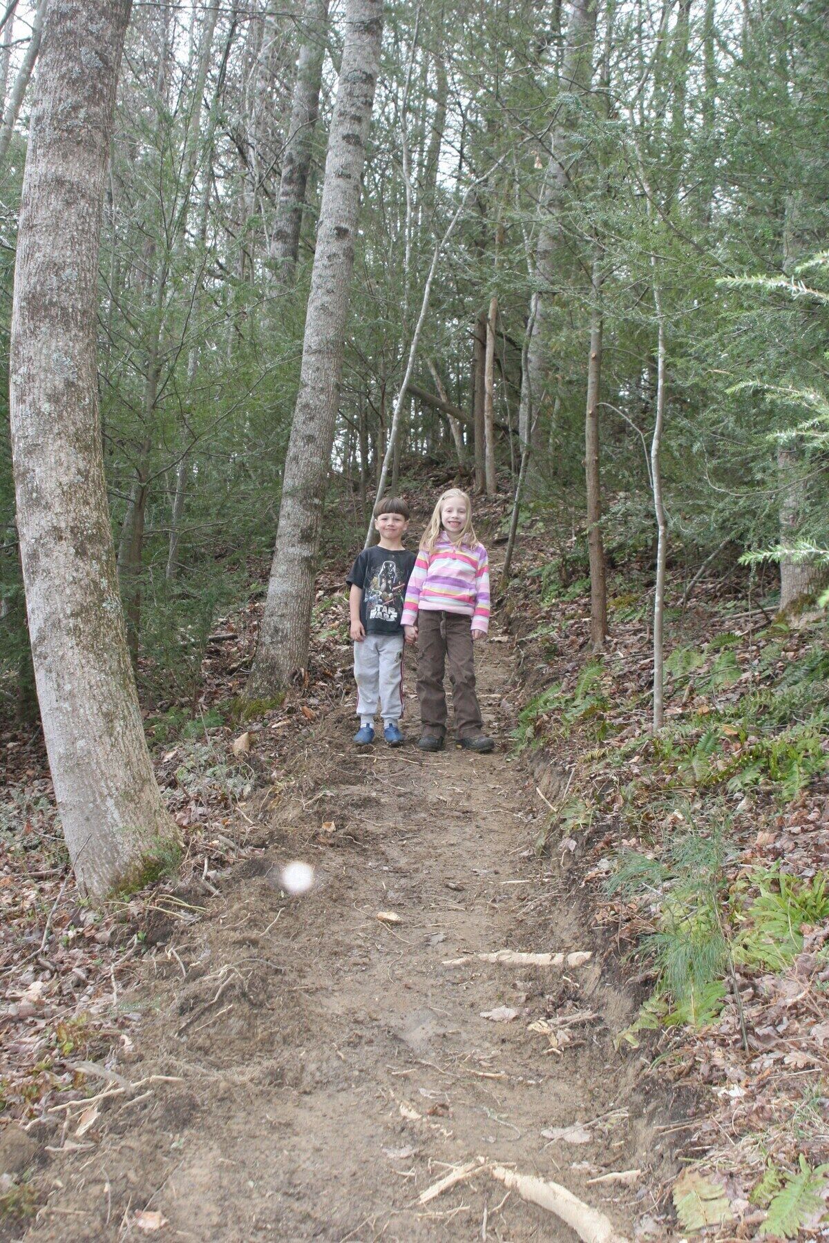 Two individuals standing on a forest trail surrounded by trees.