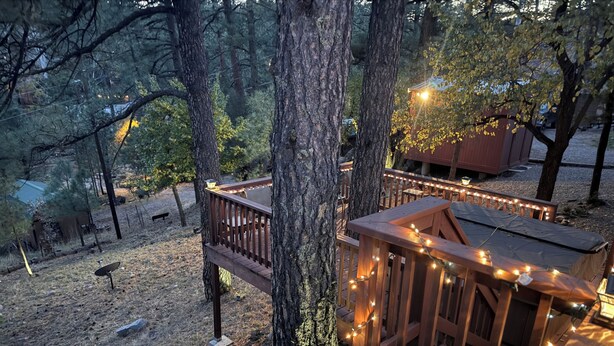 Eine Holzterrasse mit Lichterketten, umgeben von Bäumen und einem kleinen Gebäude.