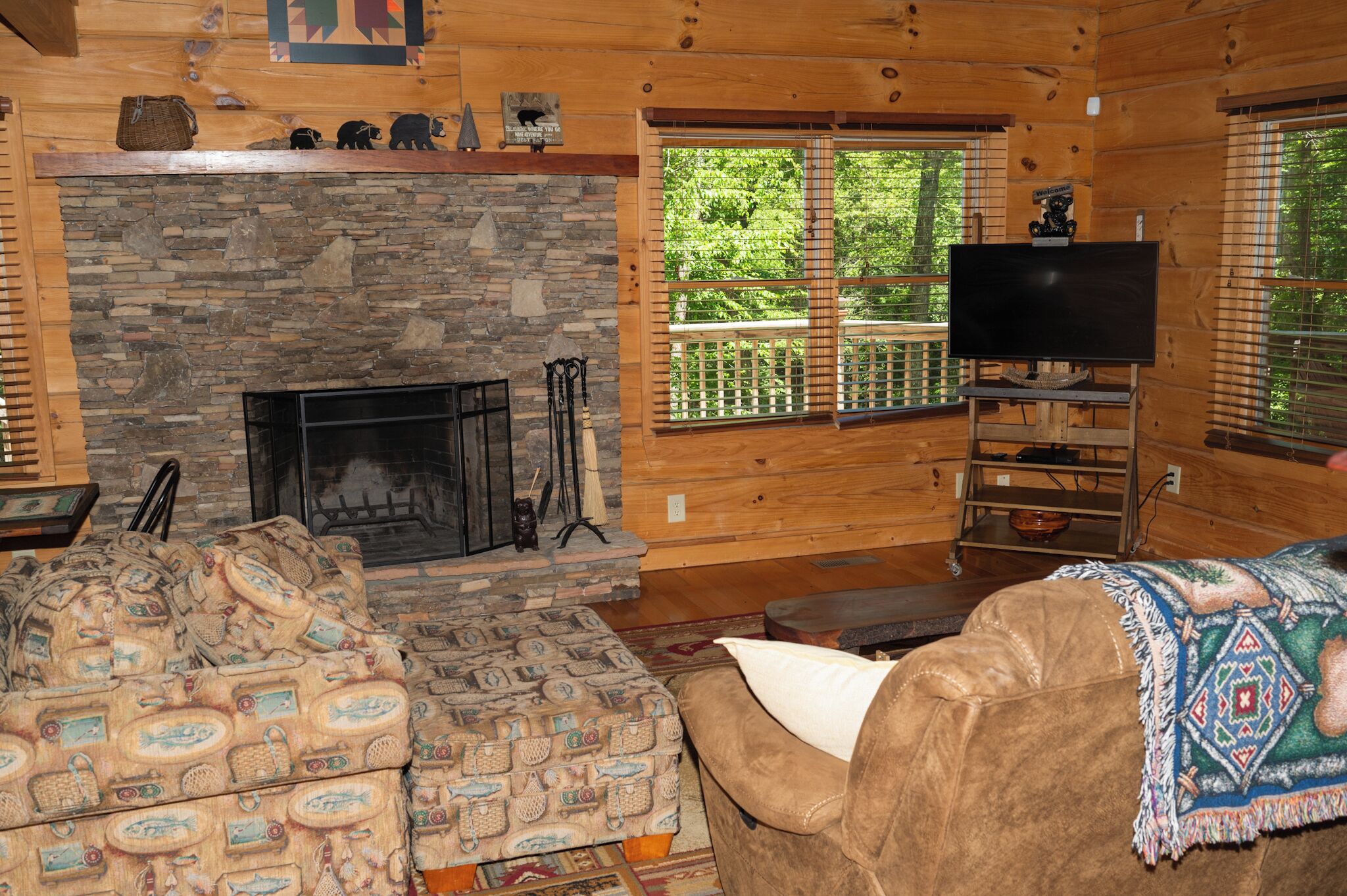 Smart TV, fireplace, DVD player, video library