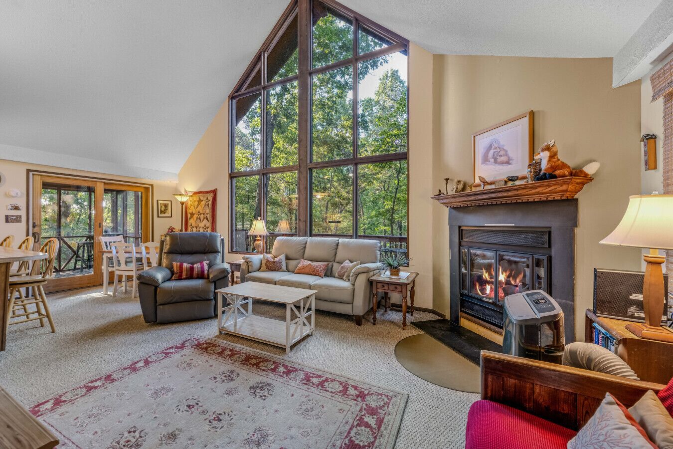 Télévision, cheminée, lecteur de DVD