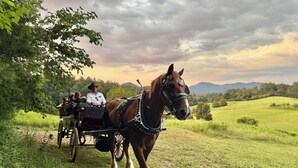 Un carrossatge tirat per cavalls amb passatgers surant per un camí herbós.