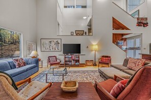 TV, fireplace, DVD player, books