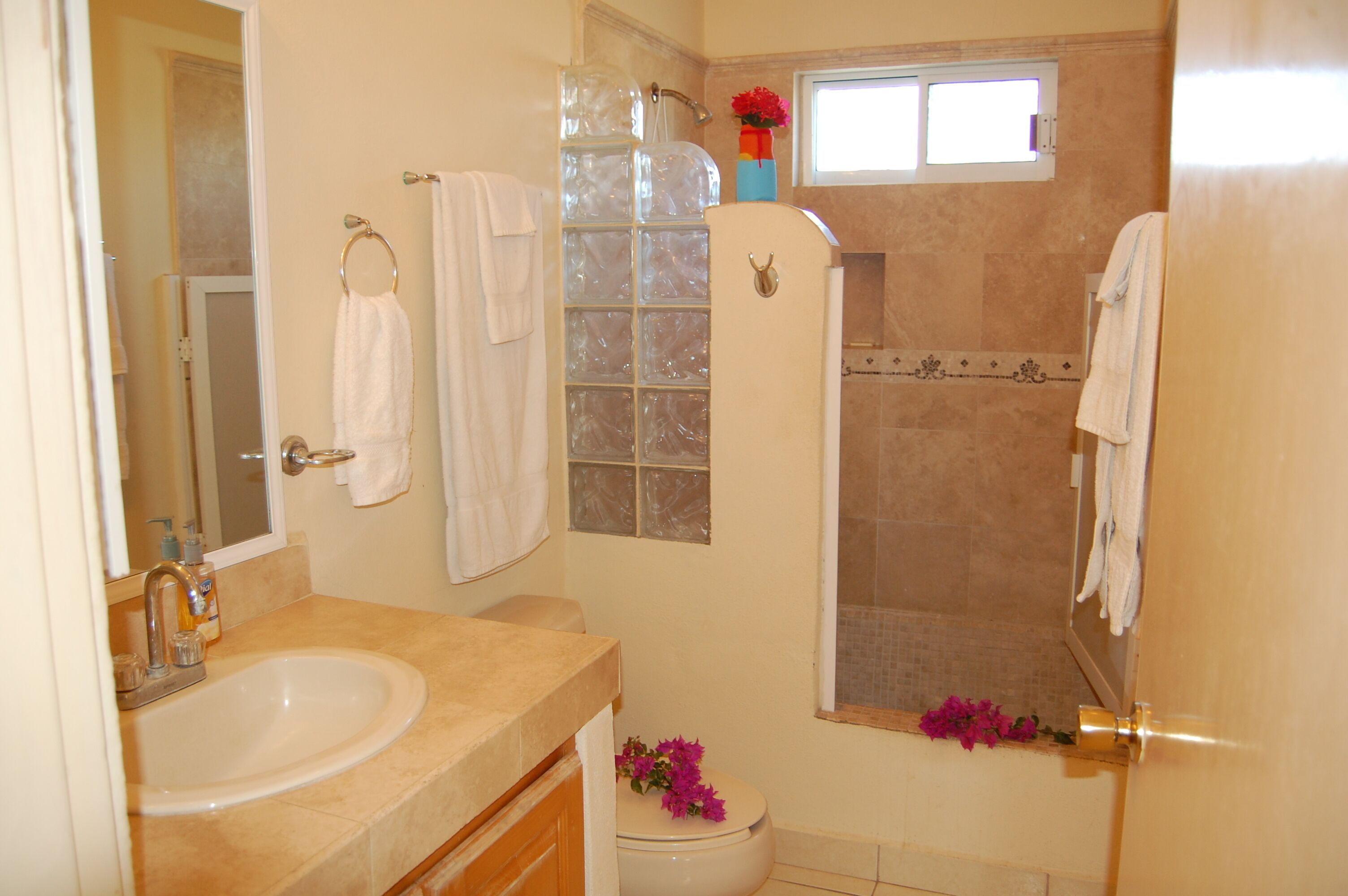 Bathtub, towels, soap, shampoo
