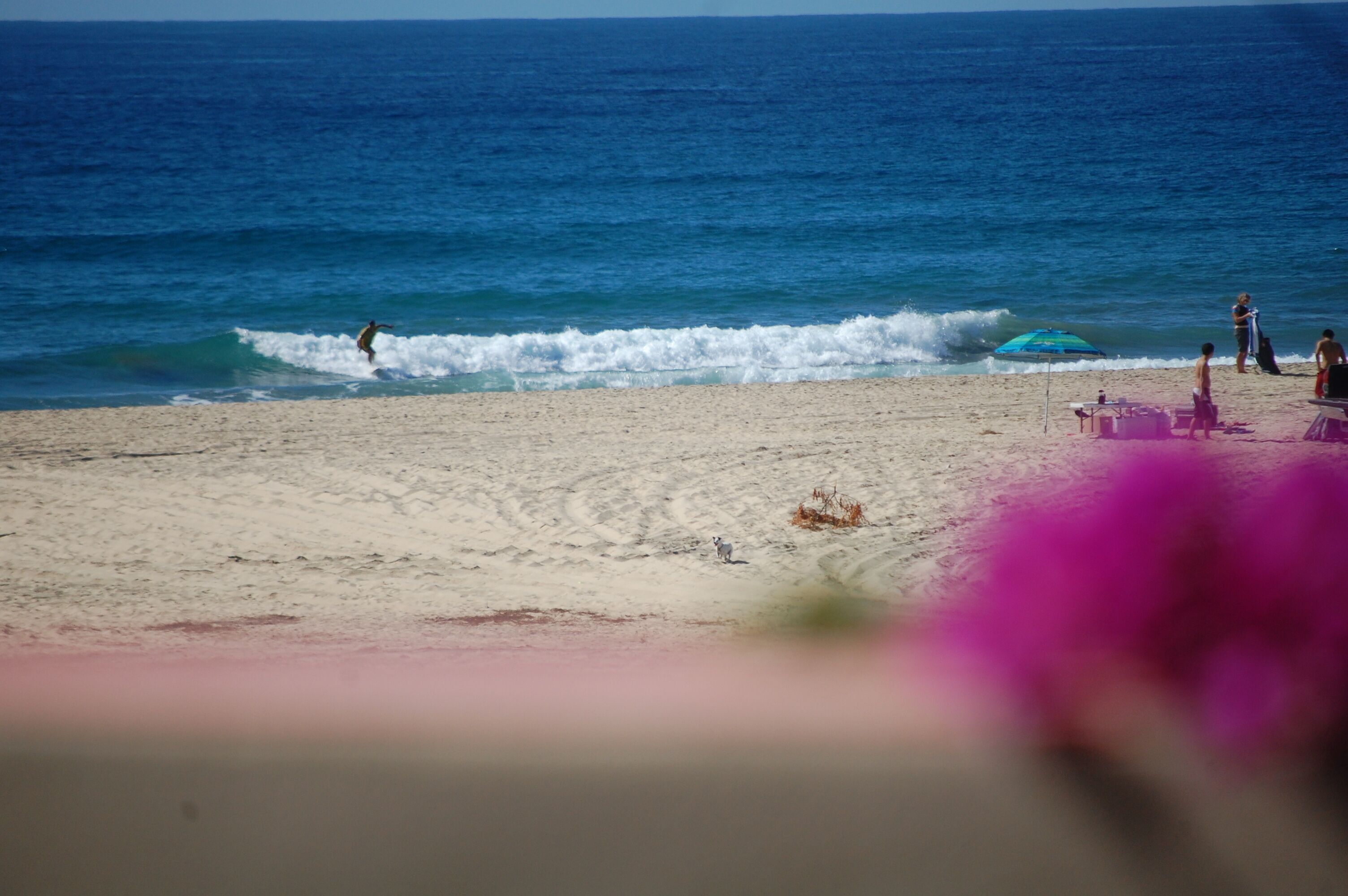 På stranden, solsenger og strandhåndklær