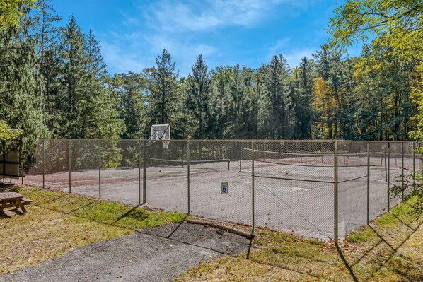 Un terrain de basket en plein air, entouré d’une clôture en treillis métallique, avec des arbres en arrière-plan.