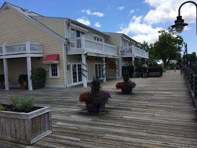 Condo on the River-Million Dollar View!