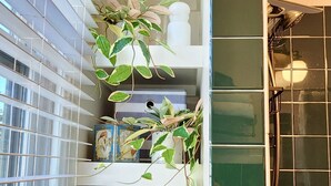 Une salle de bain avec une douche, une fenêtre avec des stores et des étagères où sont disposées des plantes et des boîtes de rangement.