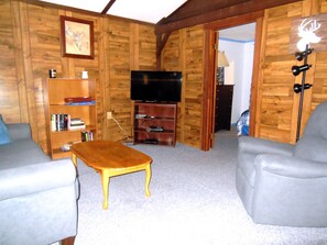 Téléviseur, foyer, lecteur de DVD, livres