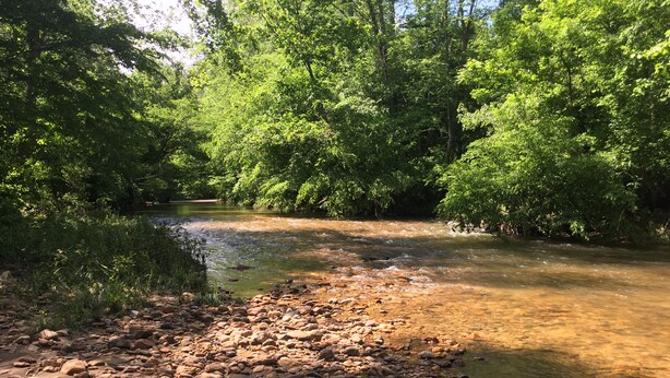 A river flowing through a forested area with rocks and trees.