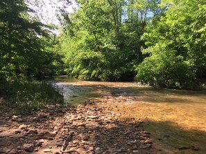 Ein Fluss fließt durch ein bewaldetes Gebiet mit Felsen und Bäumen.