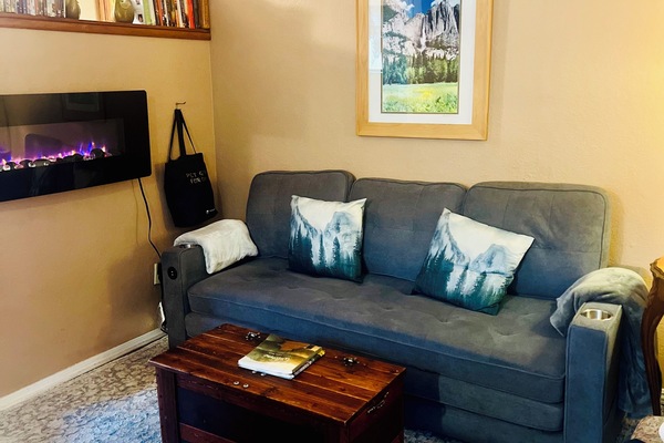 Living room pull out bed and fake fireplace plus DVDS and books