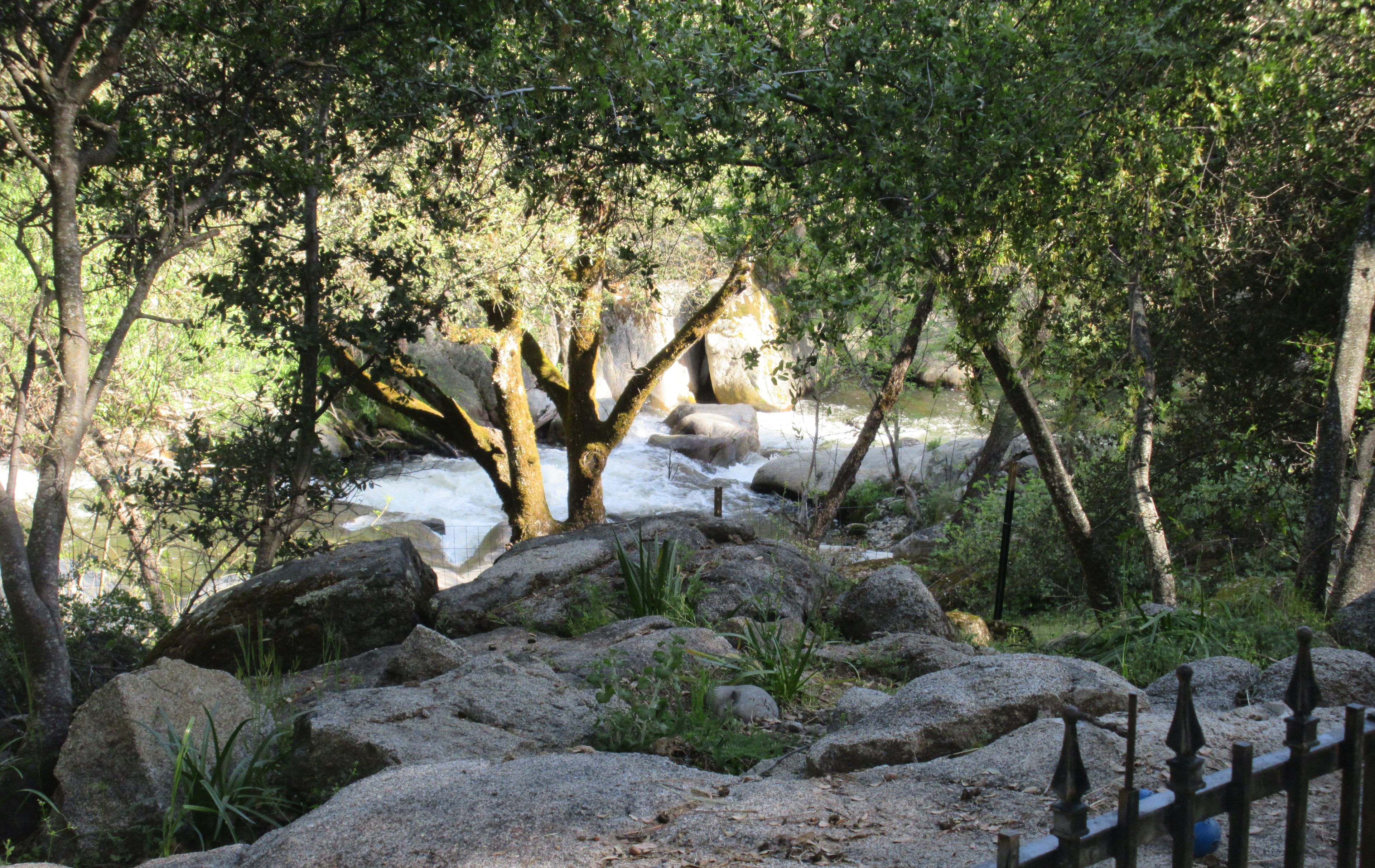 A natural landscape with a river, rocks, and trees.
