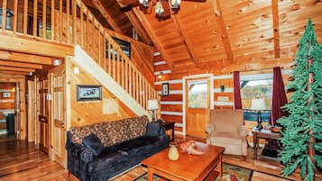 TV, fireplace, DVD player, books